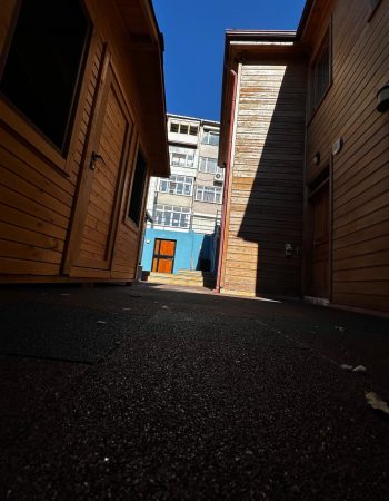 WhatsApp Image 2026-02-07 at 00.02.09